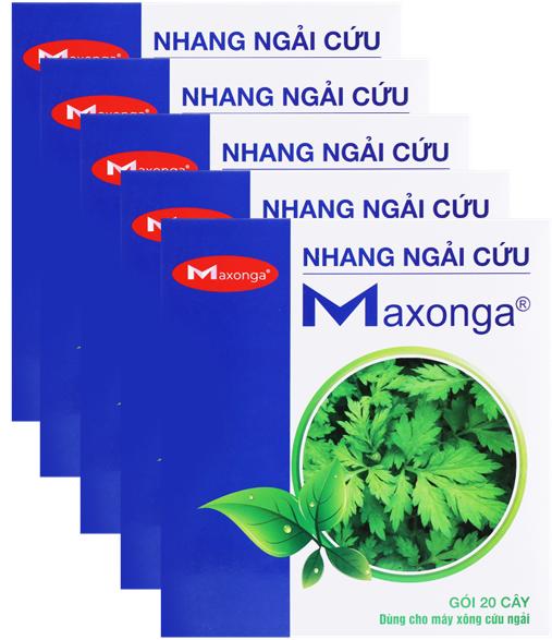 5 hop nhang ngai cuu maxonga.png