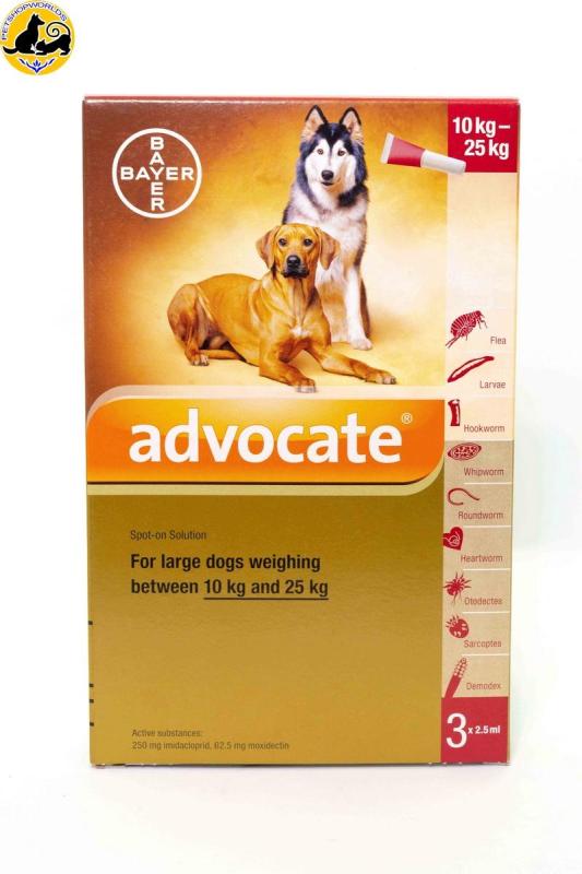 Nhỏ Gáy Trị Ký Sinh Chó Từ 10-25kg Advocate - Tuyp