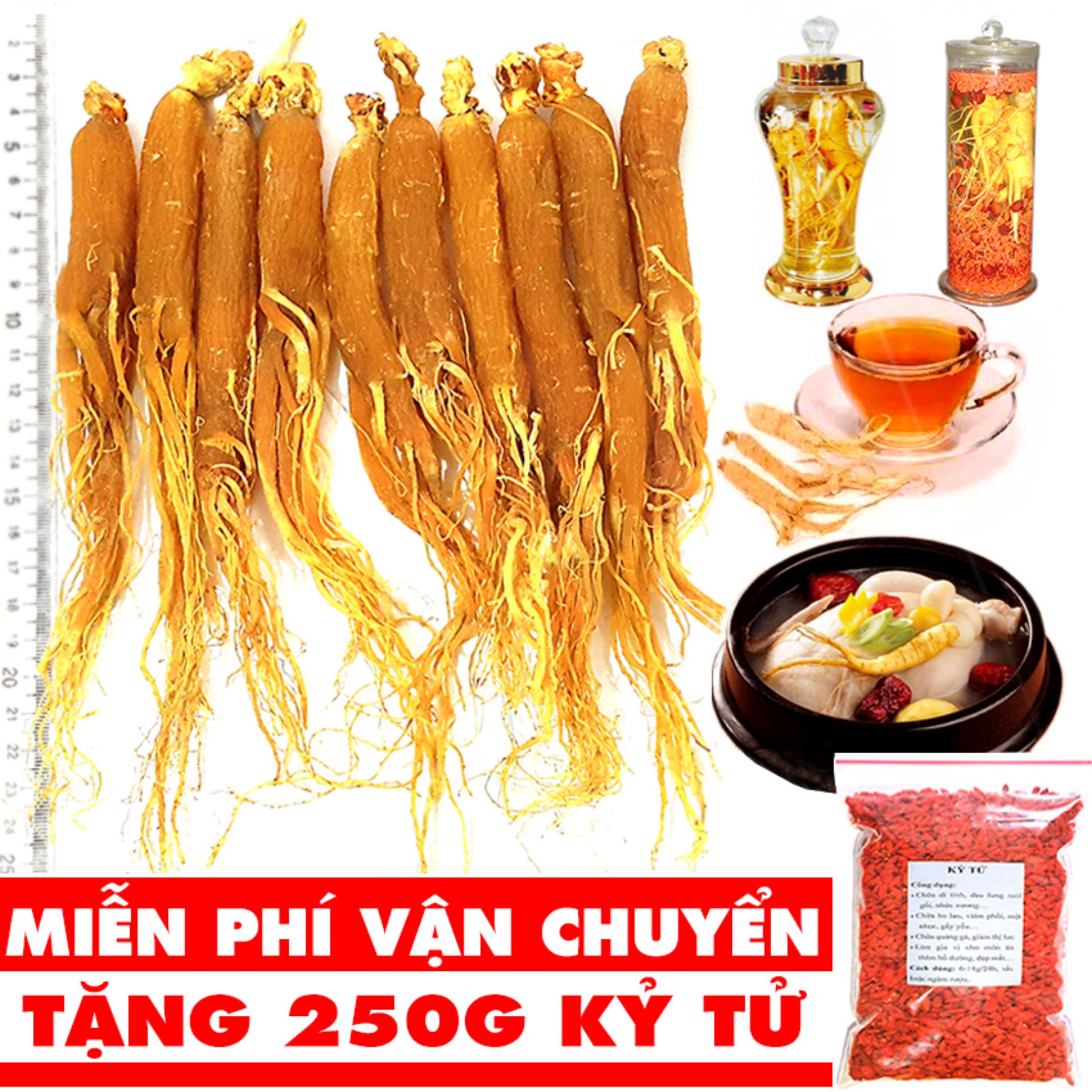 Combo 9 củ nhân sâm khô (hàng tốt) - Tặng 250g kỷ tử