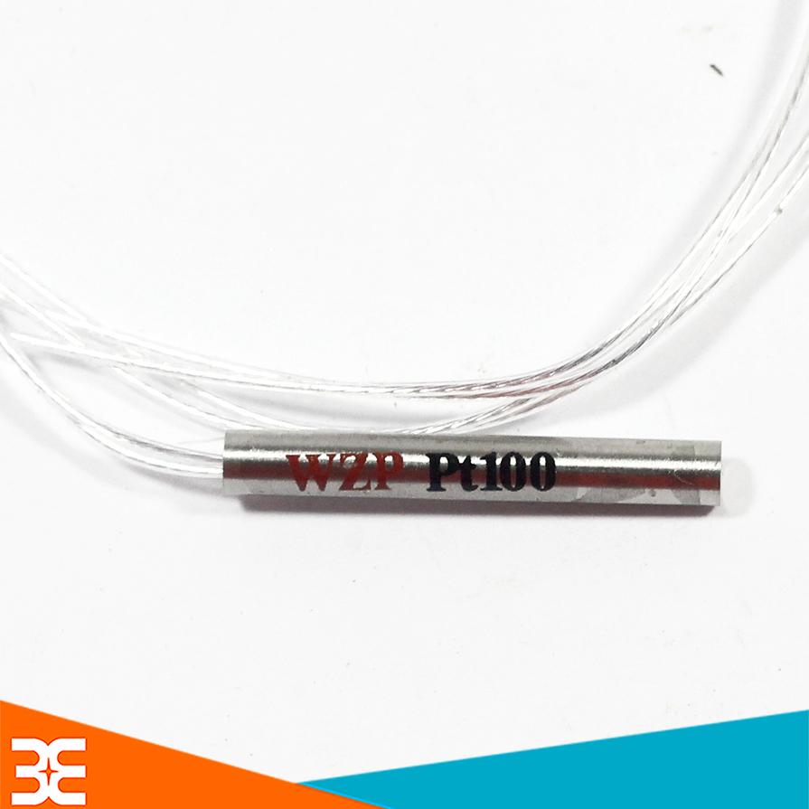 CẢM BIẾN NHIỆT ĐỘ PT100