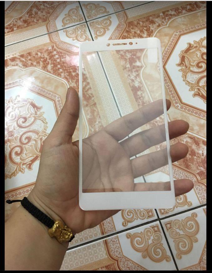 Miếng dán kính cường lực 3D Full màn cho Xiaomi Mi Max