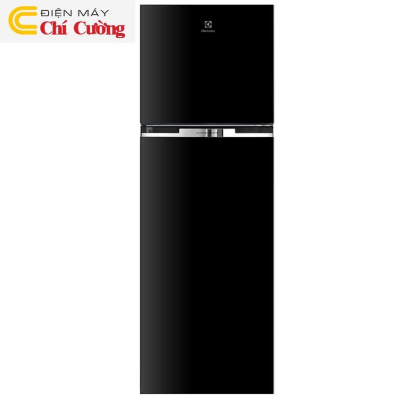 Tủ Lạnh Electrolux ETB3700H-H