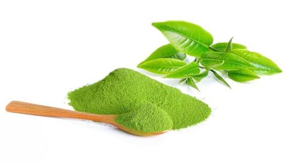 Bột matcha đài loan 50g tp