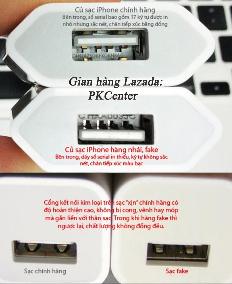 sac5.jpg