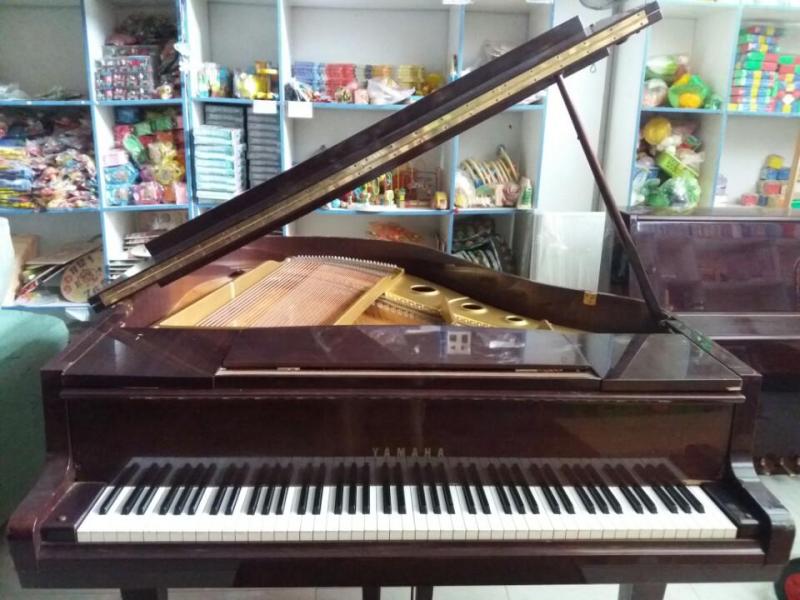 Yamaha G1