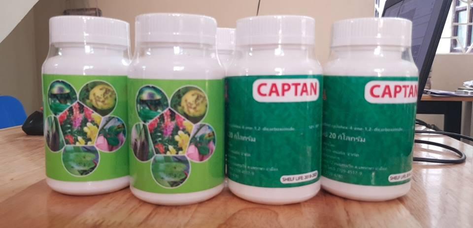 thuôc trị nấm cho cây Captan thái lan