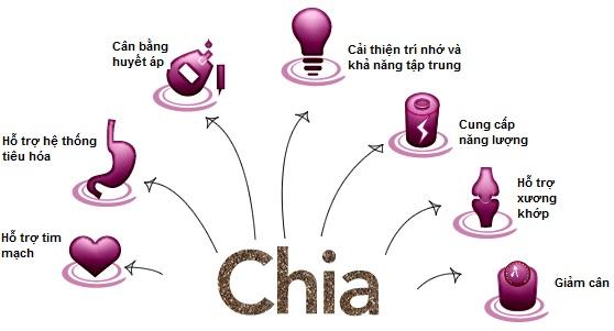 cong-dung-chia.jpg