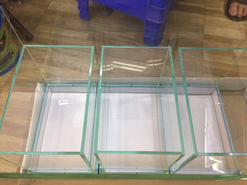 Mienphivanchuyen- Bể cá để bàn giá rẻ, bể cá cảnh có cây trang trí chuẩn đẹp (tặng cây, thức ăn)
