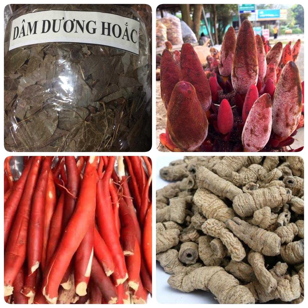 Combo Dâm dương hoắc, nấm ngọc cẩu, ba kích, sâm cau khô 200g/loại