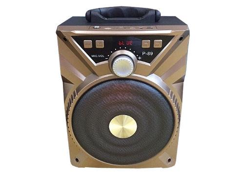 loa-bluetooth-tro-giang-karaoke-p-89-11499674916.jpg