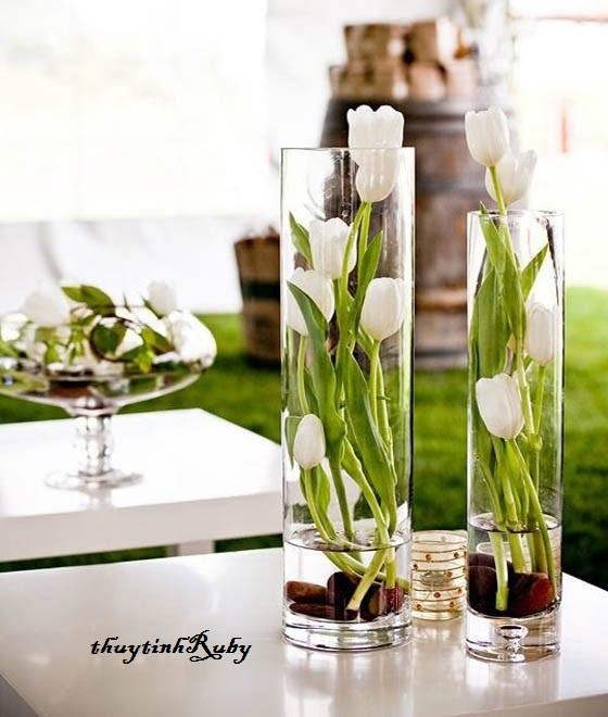Bình Bông Thủy Tinh Trang Trí D10xH50, Bình Cắm Hoa Thủy Tinh Trụ, Lọ cắm Hoa Hình Trụ, Trụ trơn đổ đèn cầy, ống tròn thủy tinh