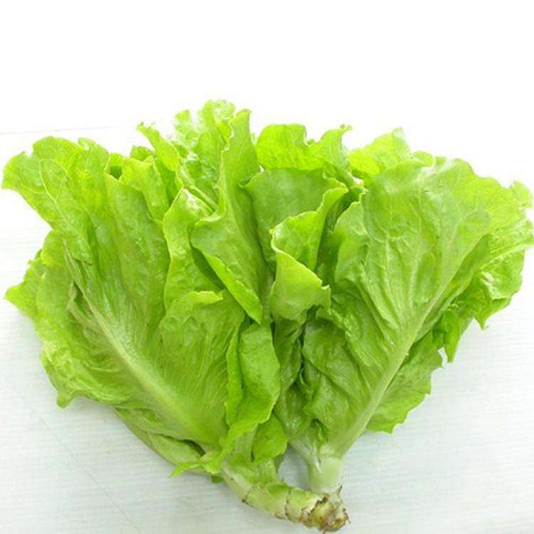 Hạt giống Xà lách mỡ