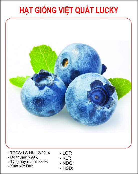 [Lấy mã giảm thêm 30%] Hạt giống Việt quất (30 hạt)