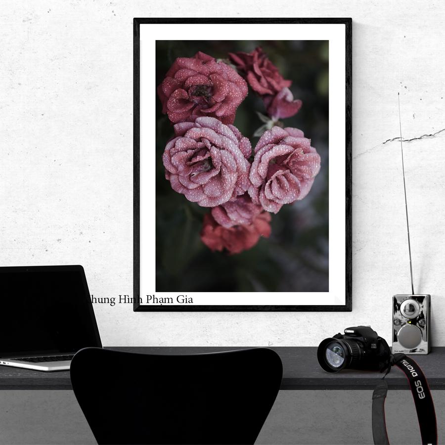 [HCM]Khung kính 3D treo tường A3 30x40cm tặng kèm đinh treo tranh chuyên dụng - Khung hình phạm gia PGC208