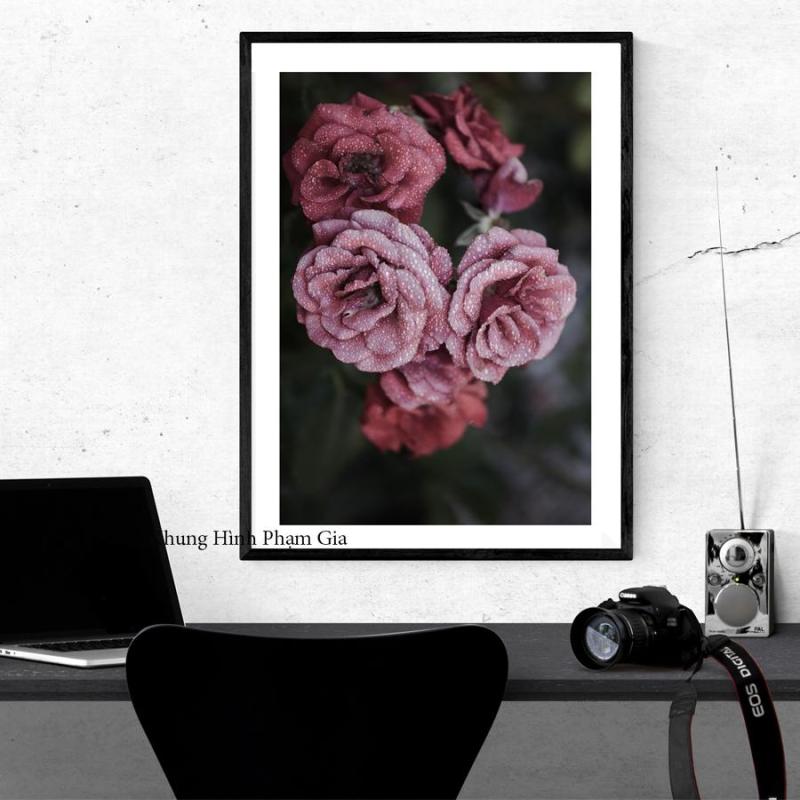 Khung kính 3D treo tường A3 30x40cm tặng kèm đinh treo tranh chuyên dụng - Khung hình phạm gia PGC208
