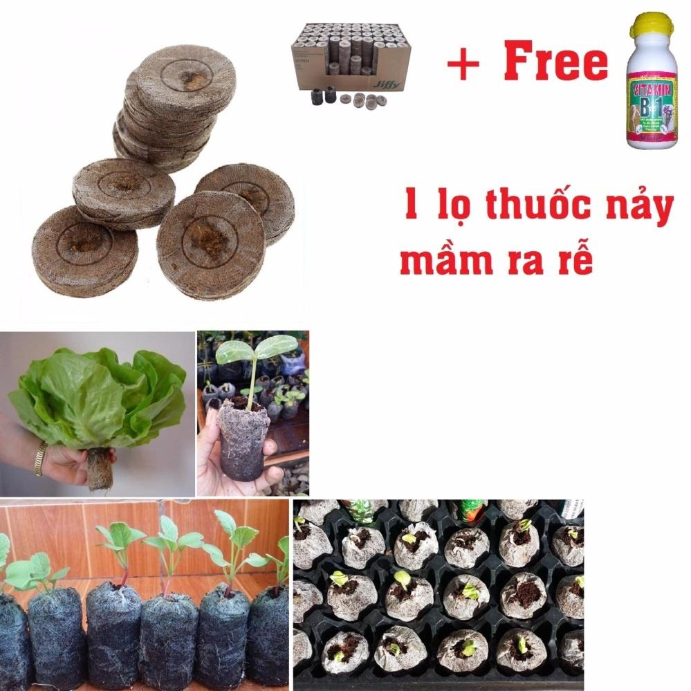 50 viên nén ươm hạt + 1 chai Vitamin B1 giúp hạt nảy mầm