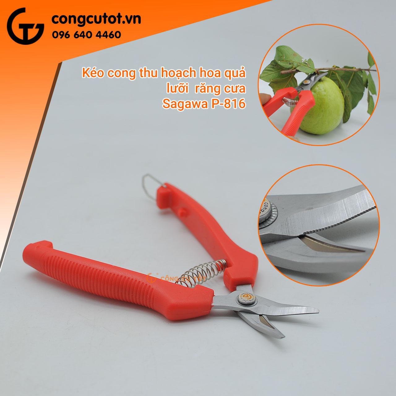 Kéo cắt tỉa thu hoạch lưỡi cong - kéo tỉa lá Sagawa P916