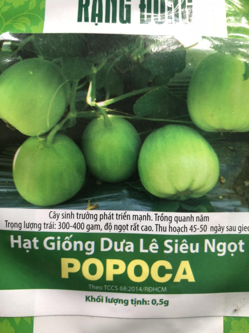 Giống dưa lê siêu ngọt