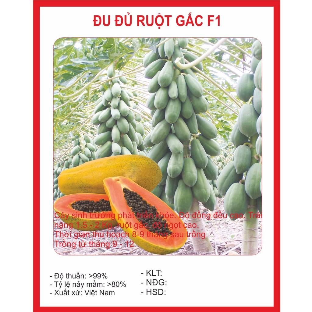[Lấy mã giảm thêm 30%] Hạt giống Đu Đủ Ruột Gấc (5 Hạt)