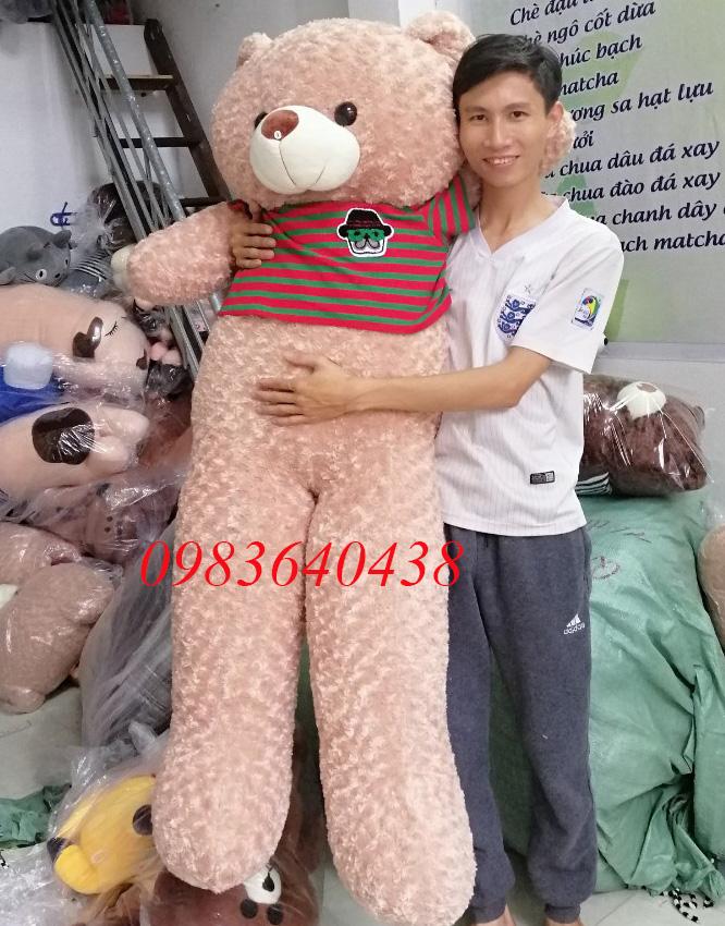 Gấu bông Teddy Khổ vải 1m8 cao 1m6 màu kem sữa cực đẹp