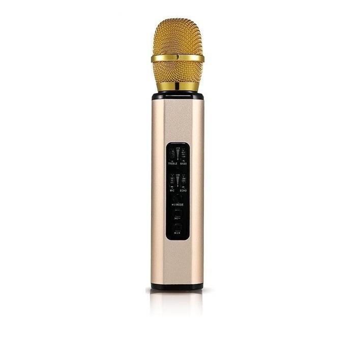 Micro kèm loa karaoke bluetooth nhập khẩu cao Cấp PKCB BM06 có Khe Cắm thẻ nhớ 3 trong 1