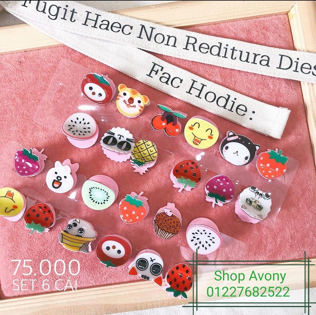 Set 6 Kẹp tóc càng cua mái