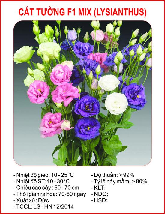 Hạt giống hoa Cát tường (5 hạt)