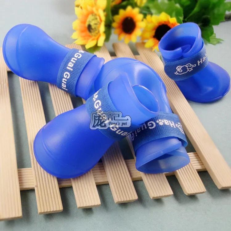Giày cho thú cưng