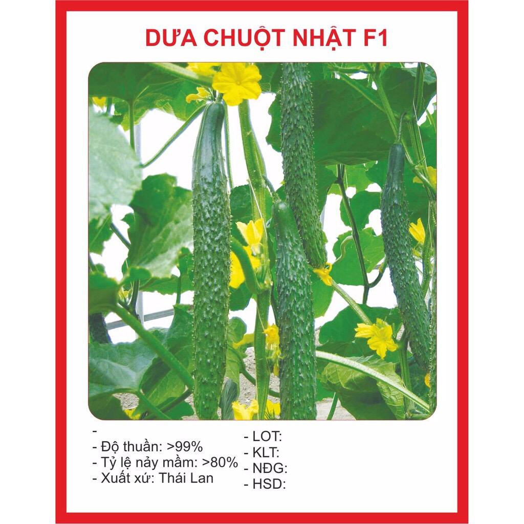 [Lấy mã giảm thêm 30%] Hạt giống Dưa Chuột Nhật (10 hạt)