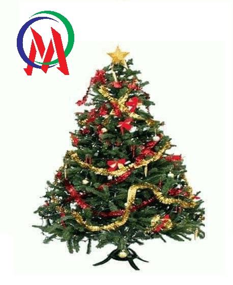 [HCM]Cây Thông trang trí Noel cao 90cm