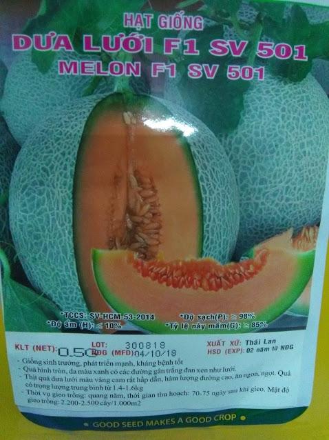 Hạt giống dưa lưới ruột cam Thái Lan - khoảng 20 hạt - Melon