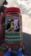 cám chào mào loại nhỏ anh thông