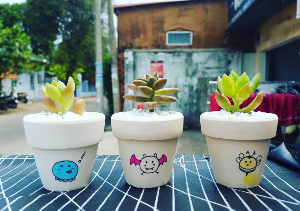 Combo 2 chậu sen đá mini siêu cute