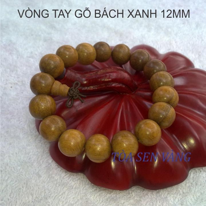 BÁCH XANH 12_NĐ 2.jpg