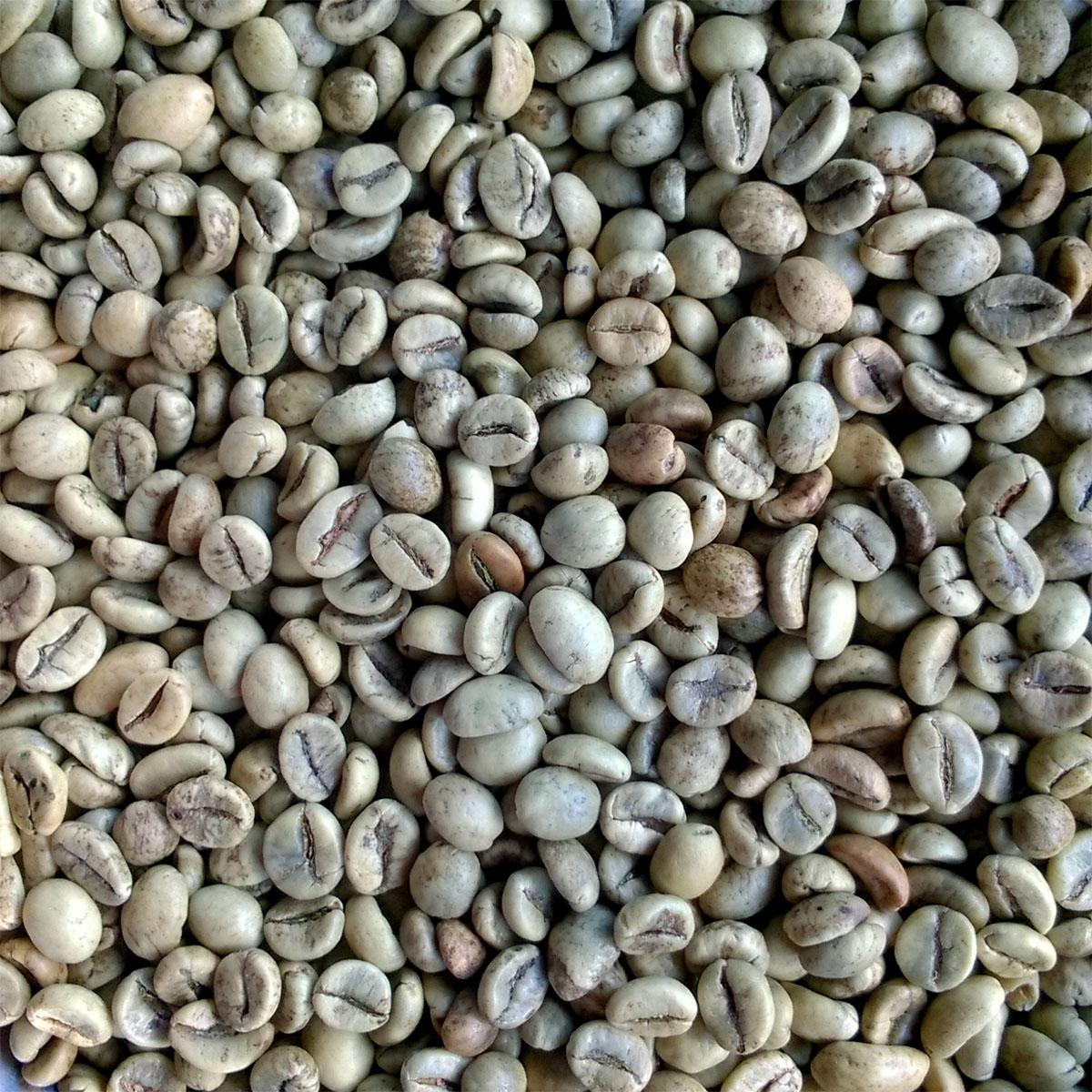 cà phê nguyên chất robusta Light Coffee