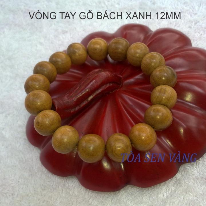 BÁCH XANH 12_KN 1.jpg