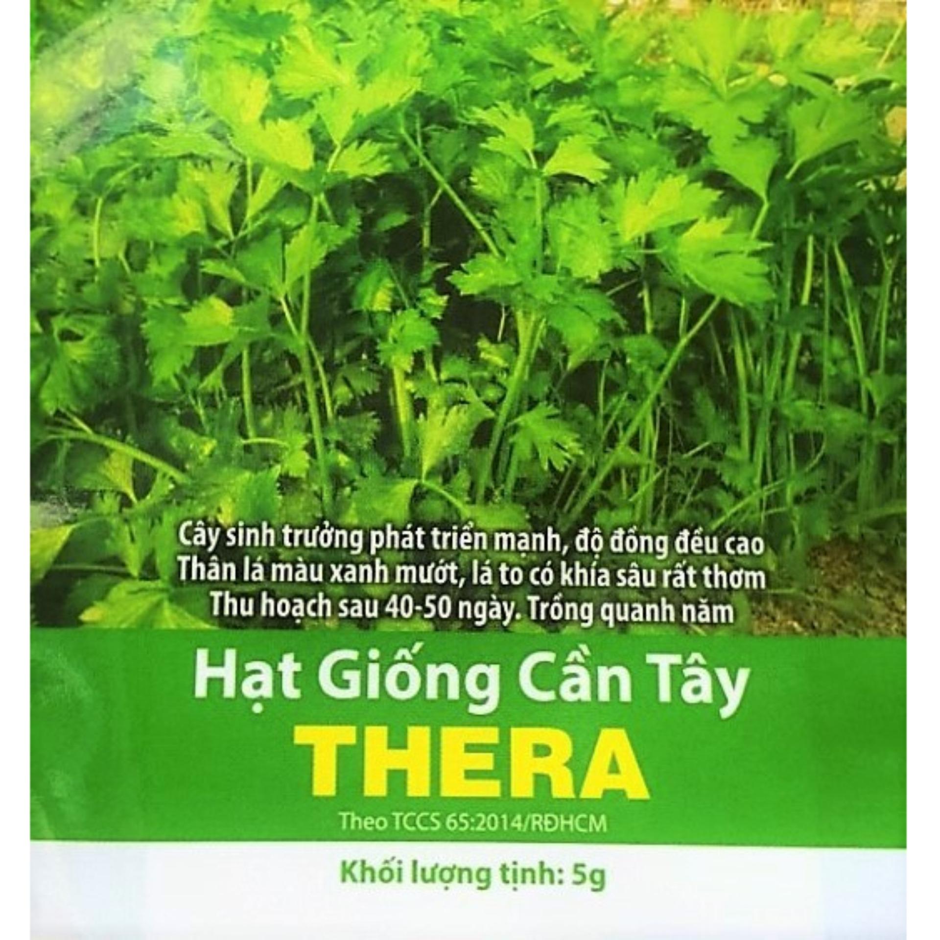 Hạt giống cần tây thera -klt 5gram .