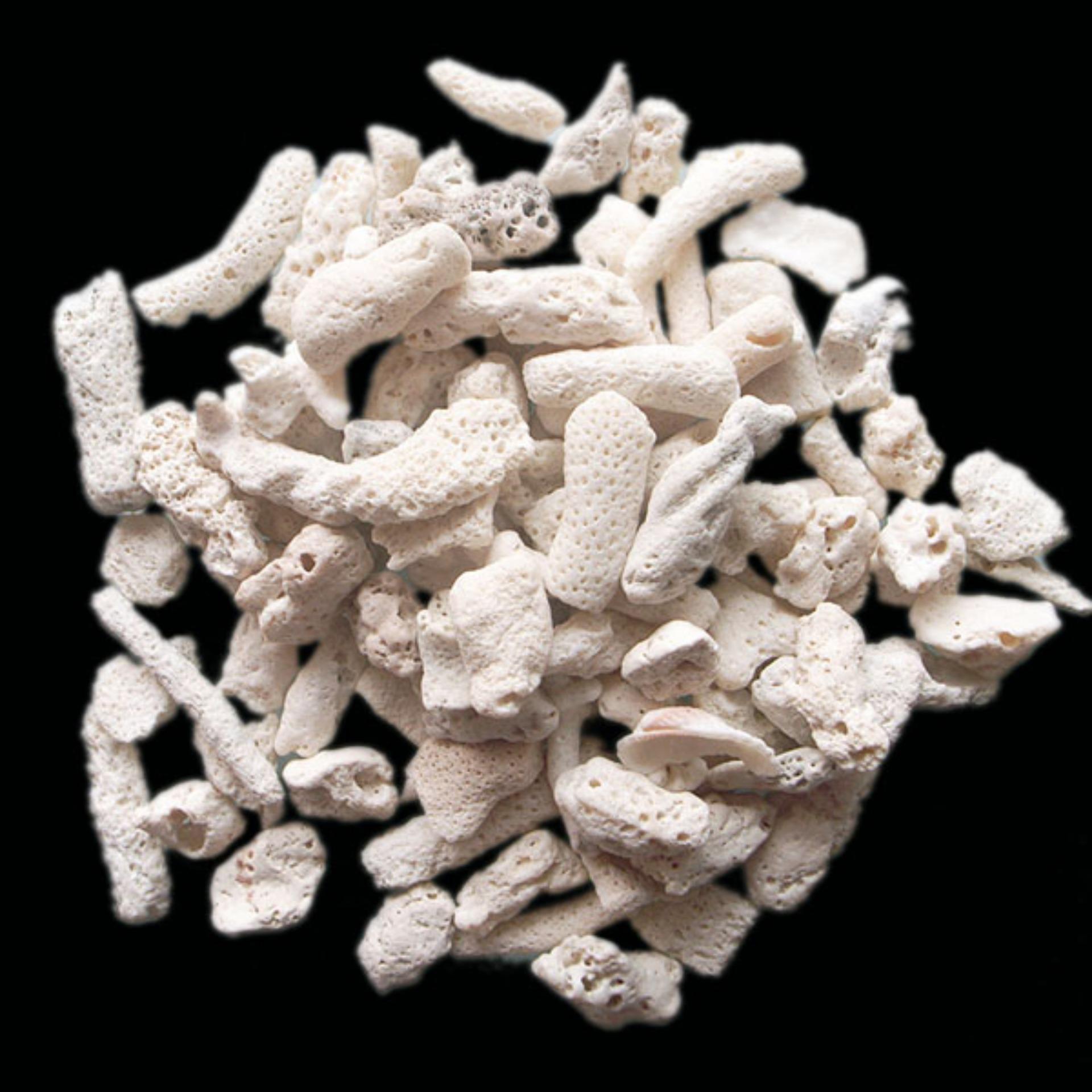 San hô vật liệu lọc, trang trí bể cá, hồ cá, hồ thủy sinh túi 100GR/ 500GR /1200GR