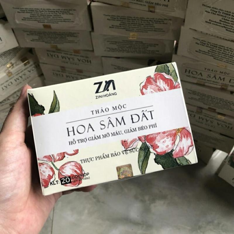 Trà Hoa Sâm Đất Zn chính hãng