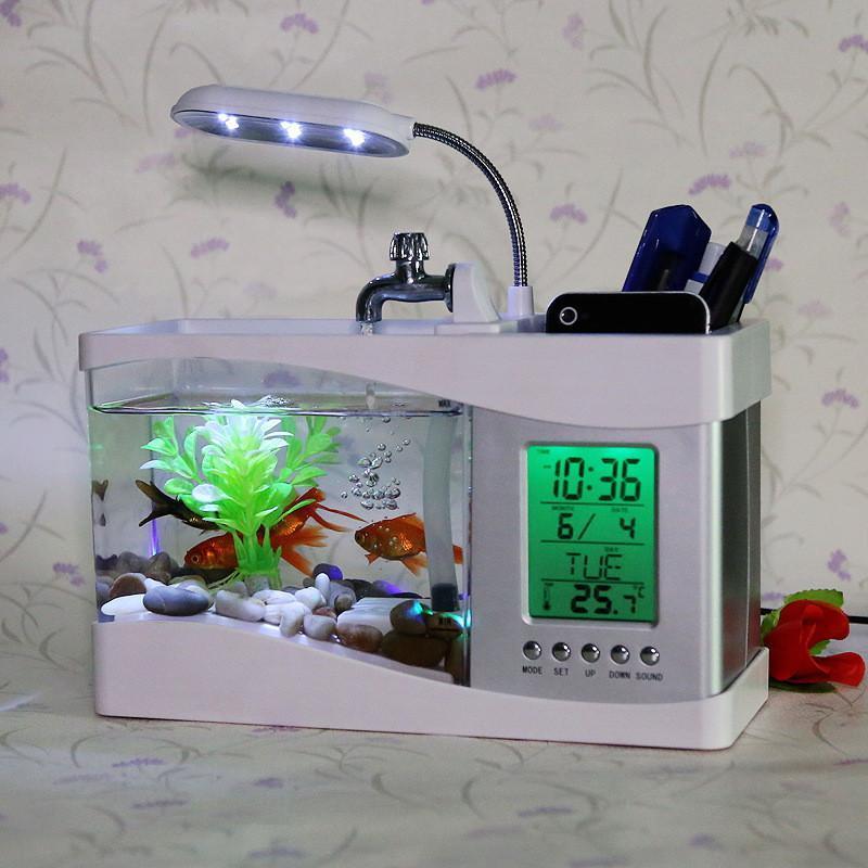 position_6_small_insects_in_aquarium_-look-here.jpg