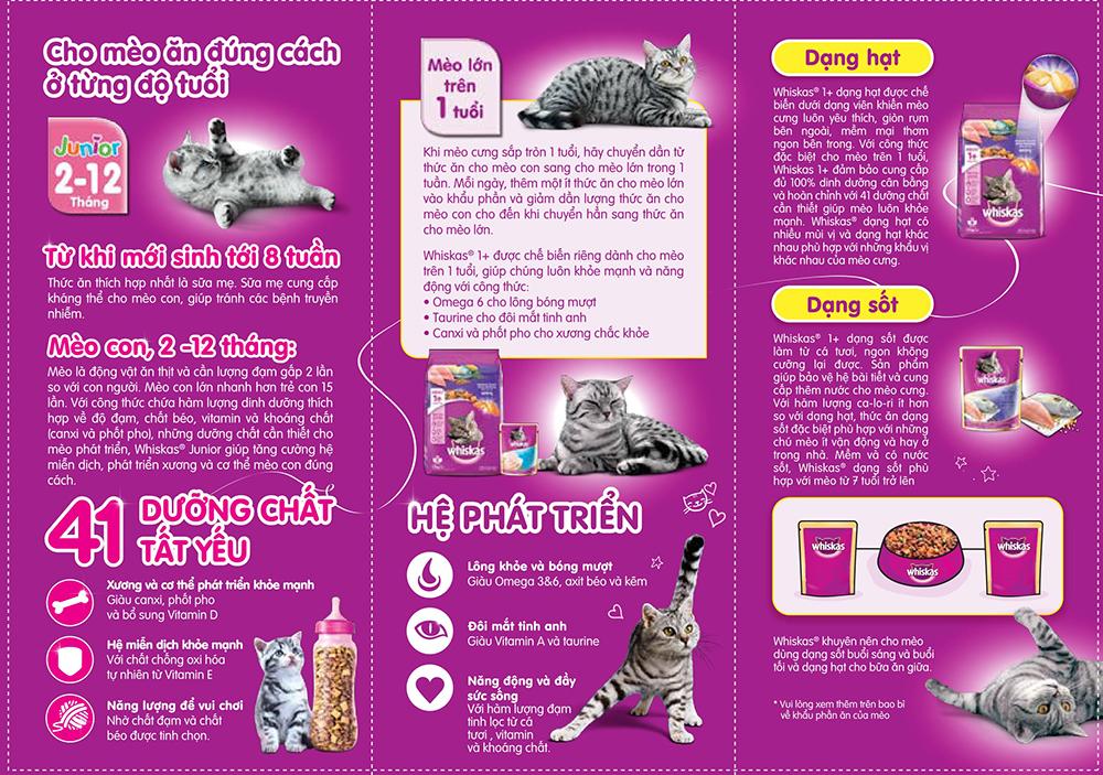 WHI_Adult_LEAFLET_VN-2.jpg