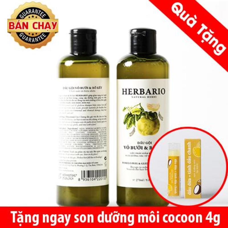 Dầu gội bưởi, bồ kết giúp tóc chắc khỏe 270ml Tặng 1 son dưỡng cocoon