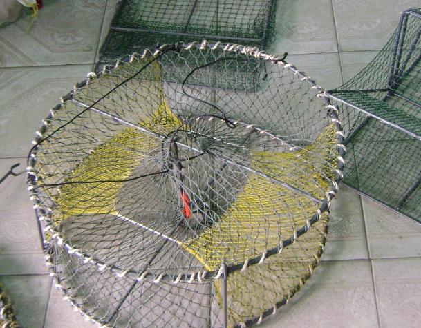 Lồng Bẫy Baba Cua Cá Dễ Dàng Tiện Lợi