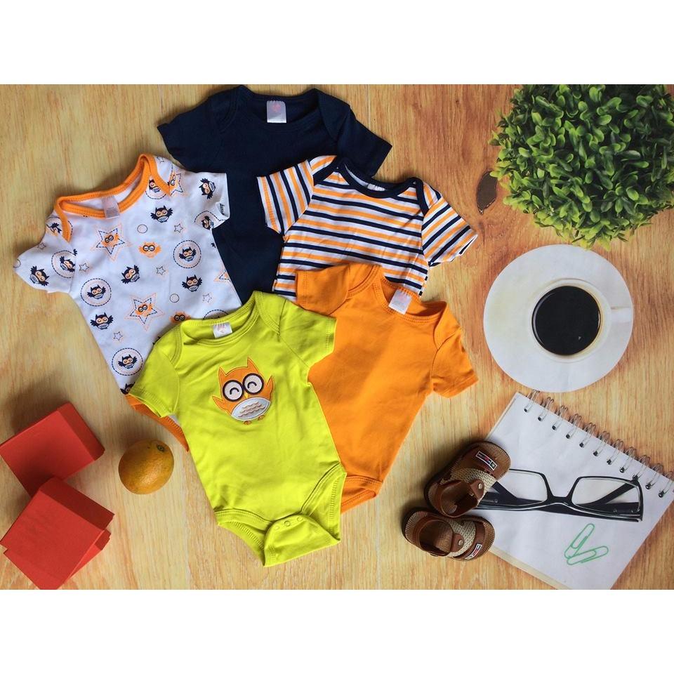 Body chim cú mèo set 5 chiếc