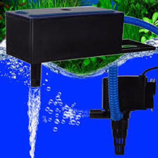 Máy lọc nước bể cá cảnh RS 9800 + 500g nham thạch + 1 miếng bông