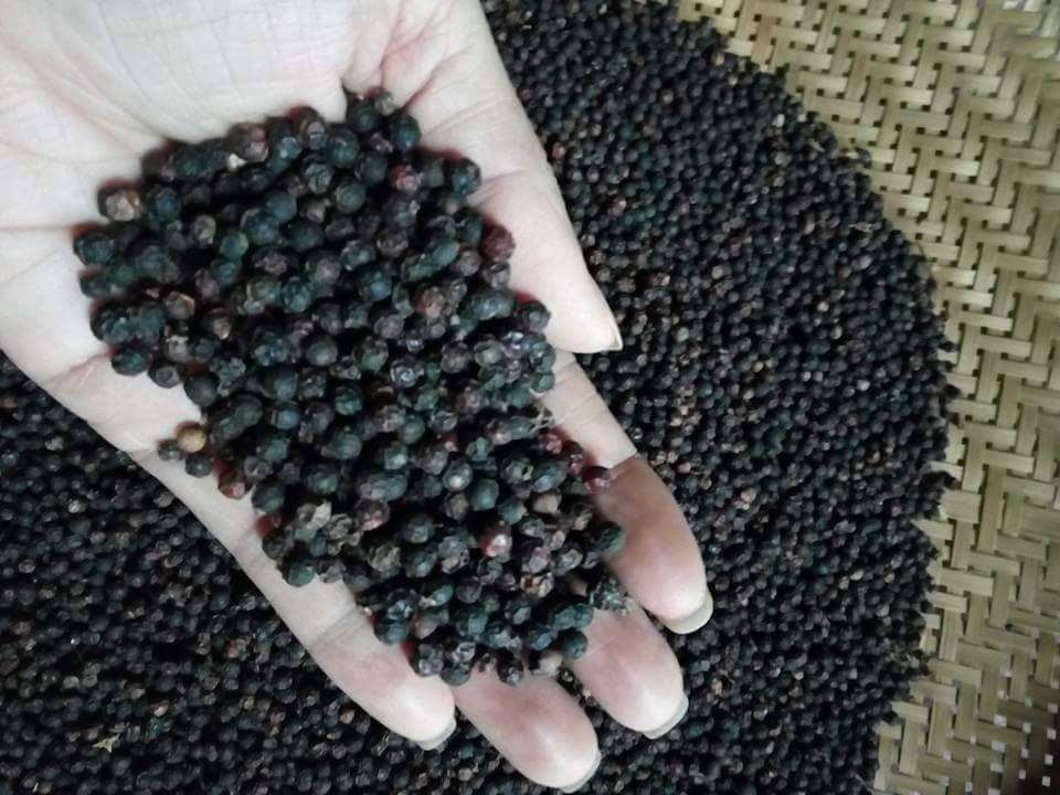 Hạt tiêu đen Bà Rịa - Vũng Tàu (nguyên hạt) 1000 gram