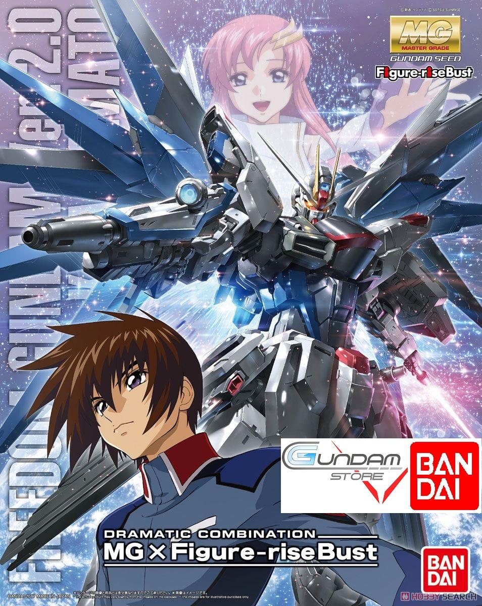 Bandai Gundam Hg Kira Yamato Seed Destiny Figure Rise Standard Mô Hình Nhựa  Đồ Chơi Lắp Ráp Anime Nhật | Lazada.vn