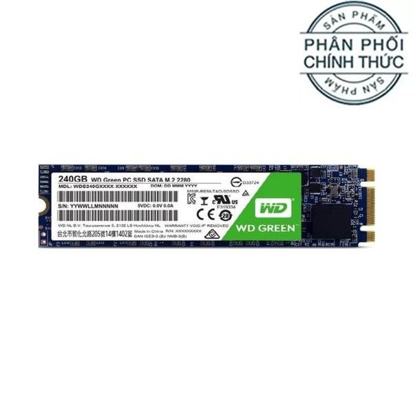 Ổ cứng SSD Western Digital Green M.2 2280 Sata III 120GB (WDS120G2G0B) - Hãng Phân Phối Chính Thức