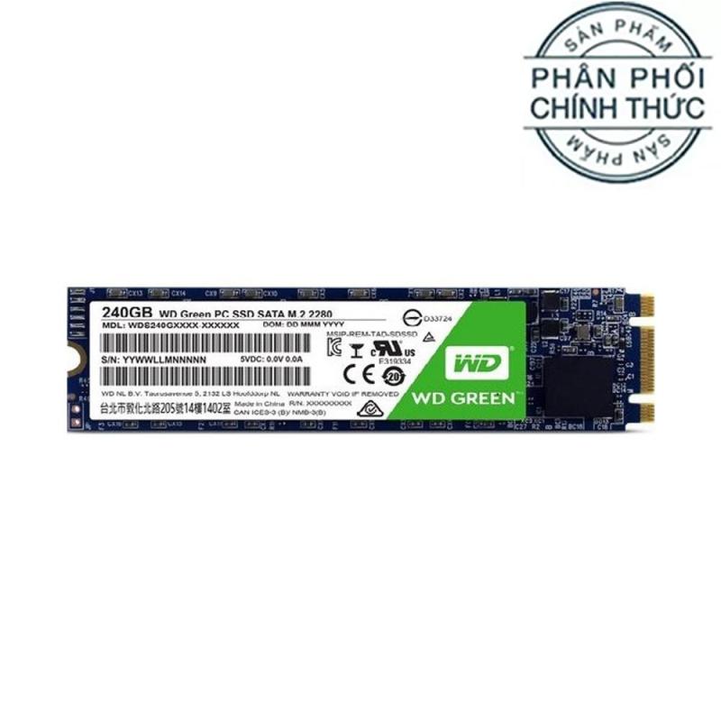 Ổ cứng SSD Western Digital Green M.2 2280 Sata III 240GB (WDS240G2G0B) - Hãng Phân Phối Chính Thức
