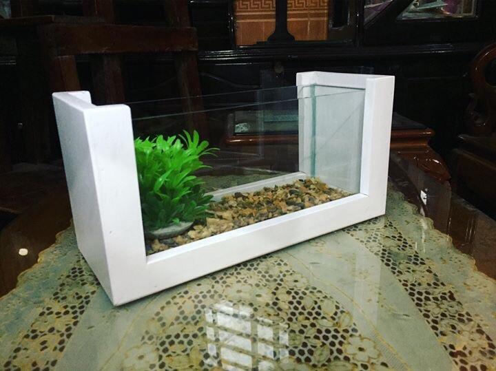 Mienphivanchuyen- Bể cá mini khung gỗ trắng Ngọc Trinh